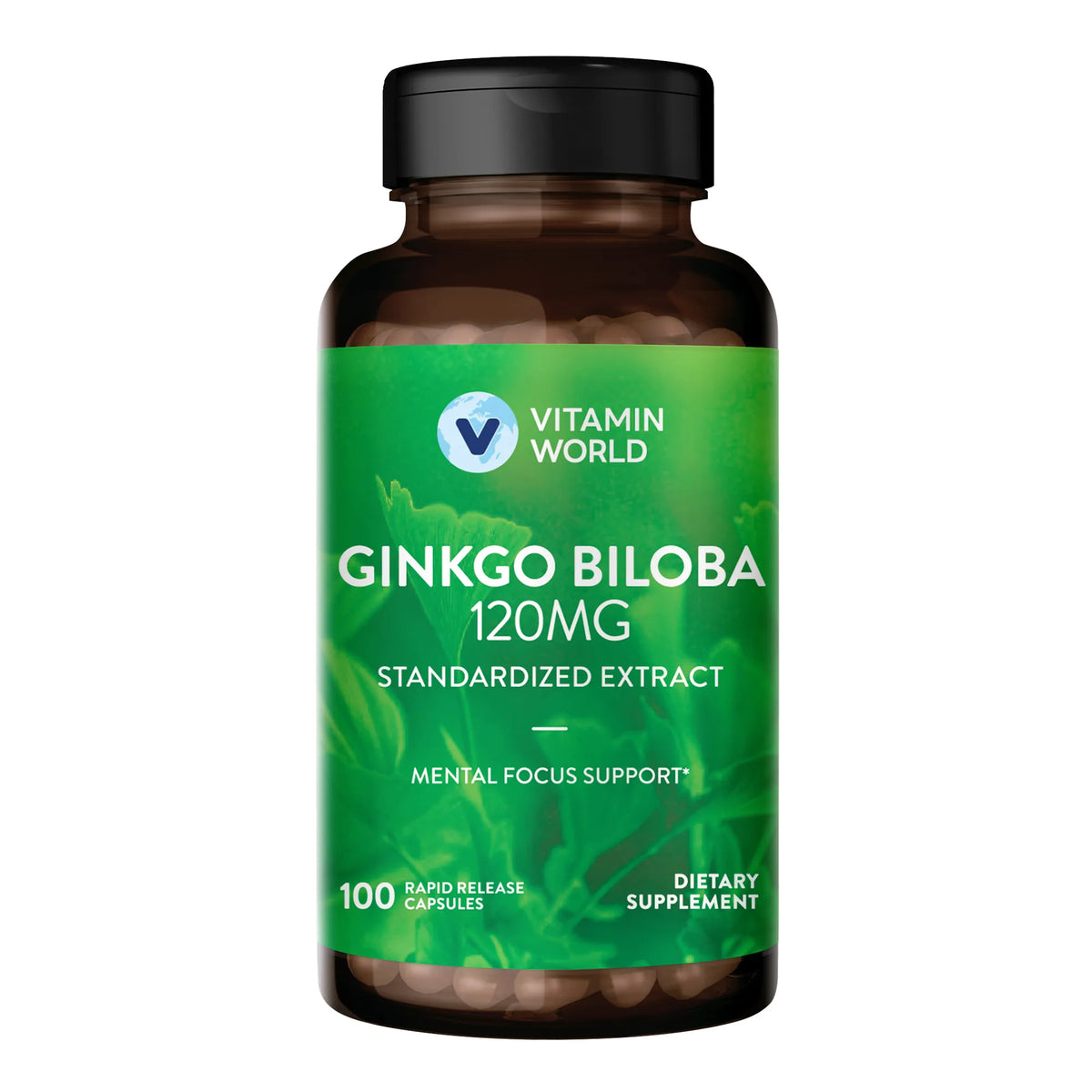 Ginkgo Biloba 120mg 100ct Capsules