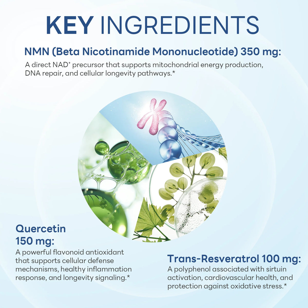 NMN 350+ 60ct Capsules – view 3