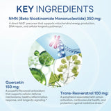 NMN 350+ 60ct Capsules – view 3