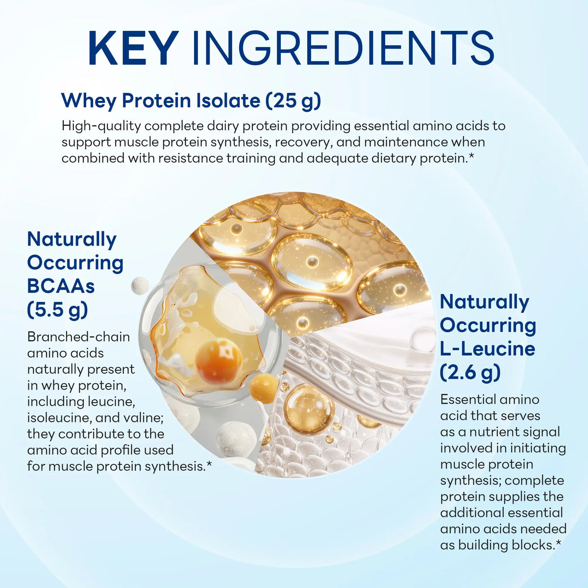 100% Whey Protein Isolate Strawberry Cream 775g Powder