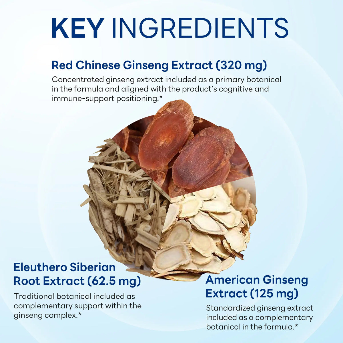 Ginseng Complex 1600mg with Royal Jelly 100ct Capsules