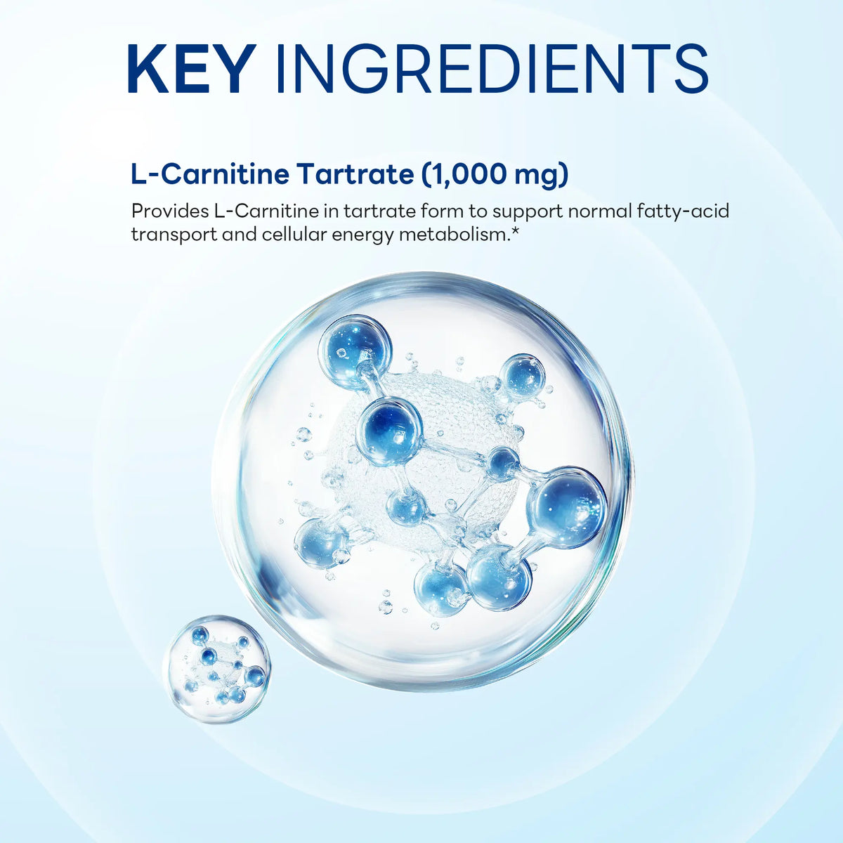 L-Carnitine Tartrate 1000mg 90ct Caplets