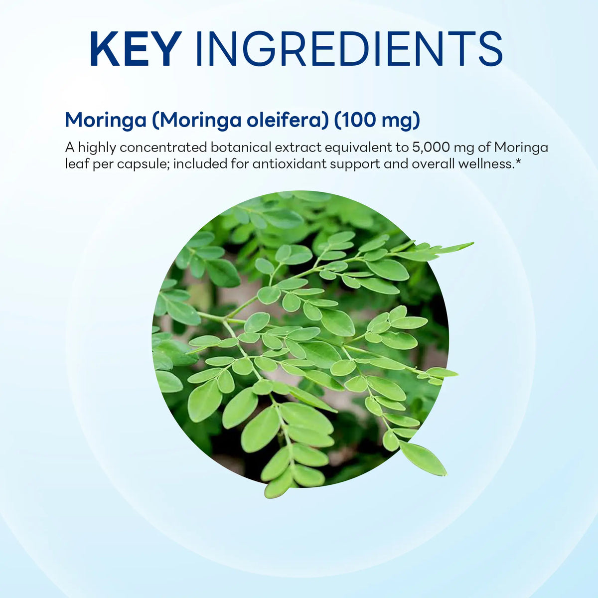 Moringa 5000mg 100ct Capsules
