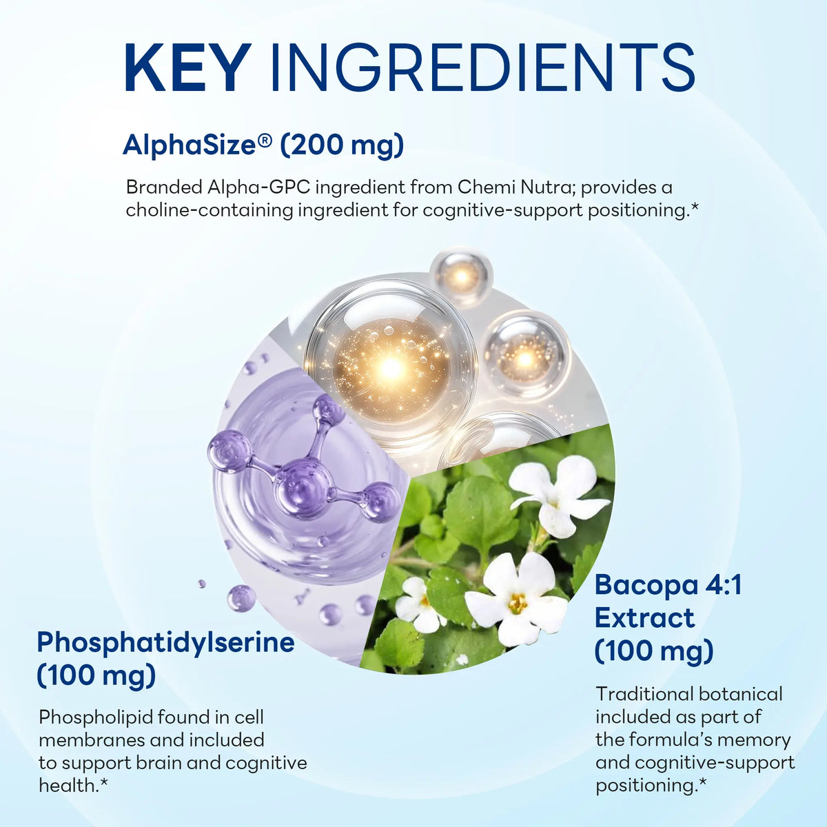 NeuroClear™ Memory & Focus 60ct Capsules