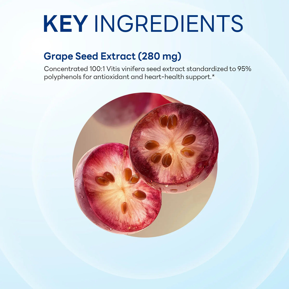 Grapeseed Extract 28,000mg 100ct Capsules