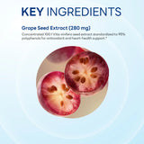 Grapeseed Extract 28,000mg 100ct Capsules
